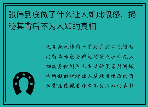 张伟到底做了什么让人如此愤怒，揭秘其背后不为人知的真相