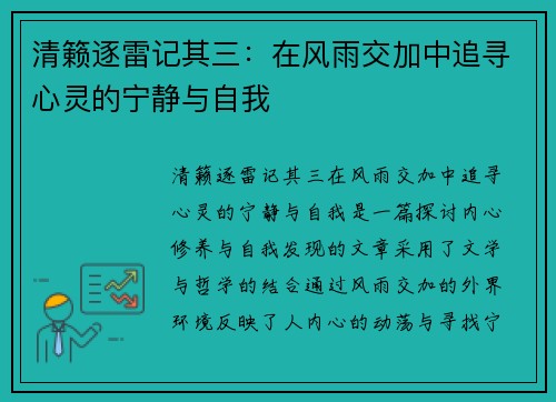 清籁逐雷记其三：在风雨交加中追寻心灵的宁静与自我